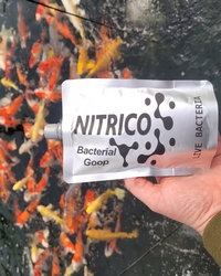 Nitrico Goop Pond Bacteria