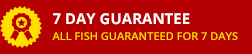 Seven day guarantee